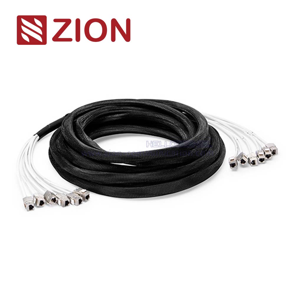 Cat 6a S/FTP Jack to Jack Trunk Cables