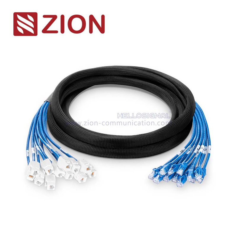 Cat 6 UTP Plug to Jack Trunk Cables