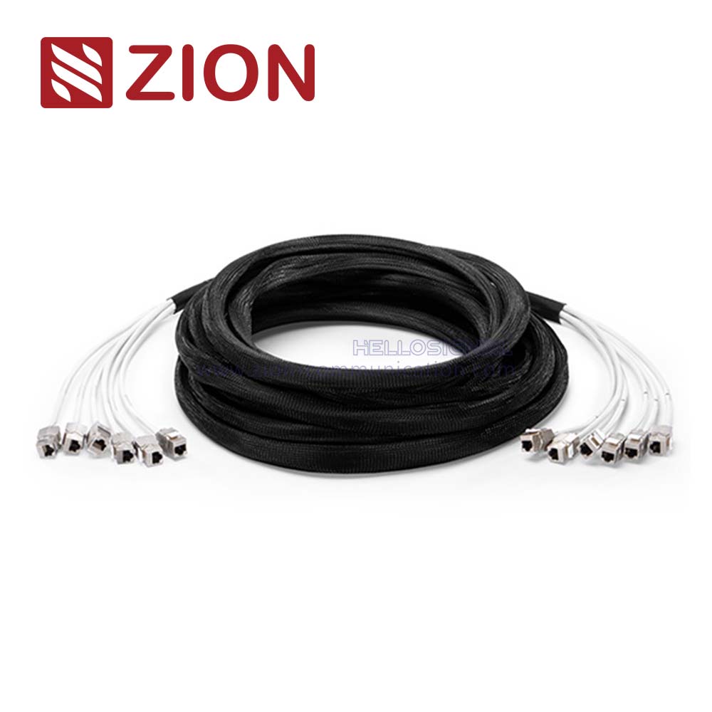 Cat 6a S/FTP Jack to Jack Trunk Cables