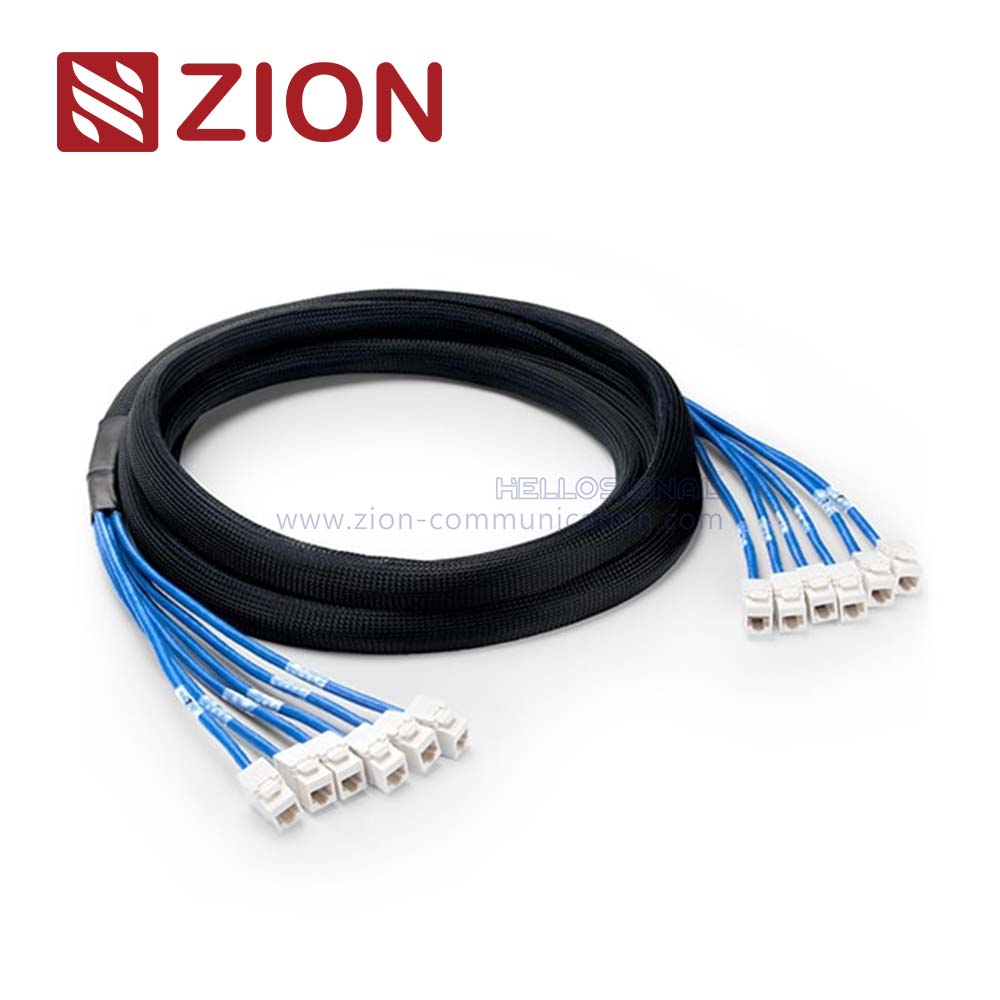 Cat 5e UTP Jack to Jack Trunk Cables