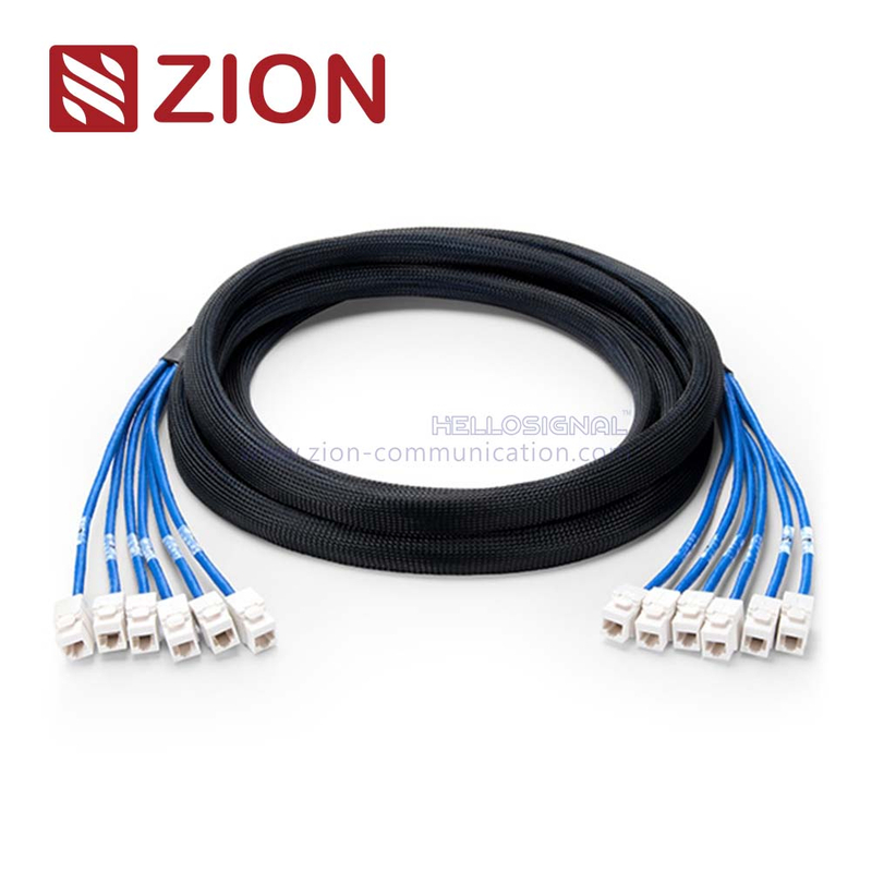 Cat 6 UTP Jack to Jack Trunk Cables