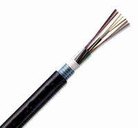 GYTY53 - Layer-stranded single Armored and Double Sheathed Optical Cable 