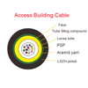 Fibra óptica Aramid Yarn PSP Armor cable LSZH jacket Access Building Cable 