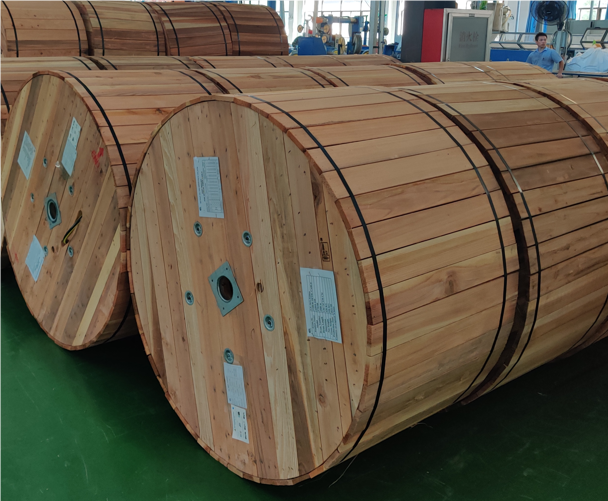 Packing Photos2 Packing Photos2