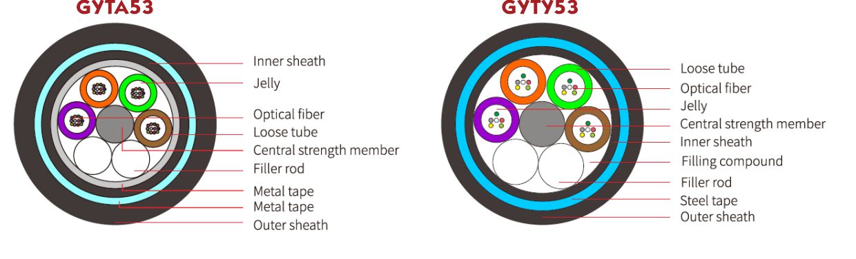 GYTA53 vs GYTY53-Structural Comparison