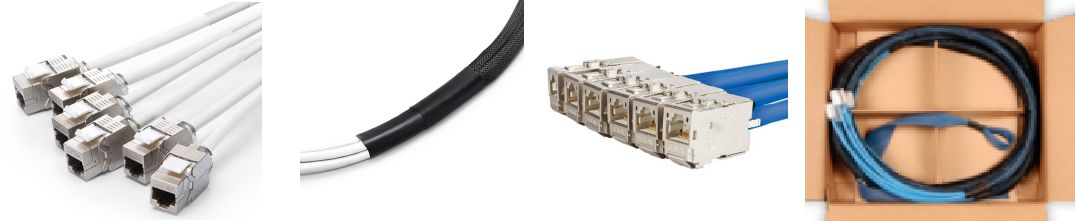 Cat 6a SFTP Jack to Jack Trunk Cables2