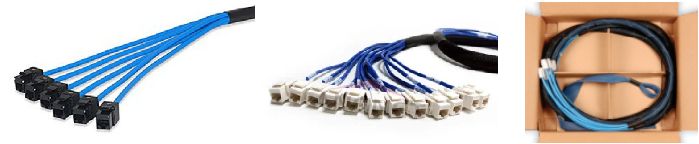 Cat 6 UTP Jack to Jack Trunk Cable2