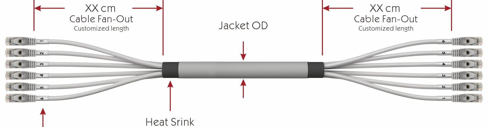 ZION Cat 5e UTP Plug to Plug Trunk Cable3