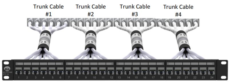 Trunk Cable Assemblies are compatible with ZION keystone patch panels1
