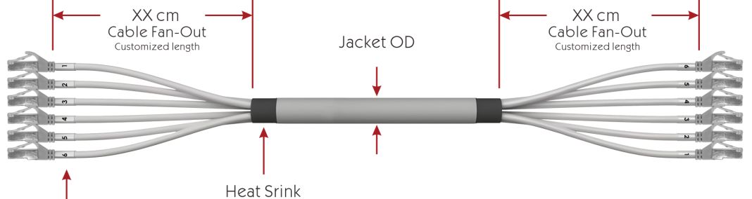 Cat 6a SFTP Plug to Plug Trunk Cables3