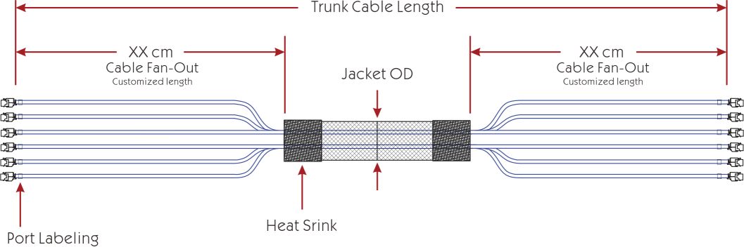 Cat 6a SFTP Jack to Jack Trunk Cables3