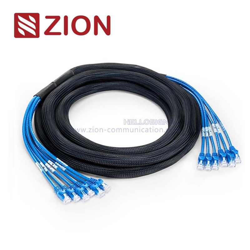 Cat 5e UTP Plug to Plug Trunk Cables from China manufacturer - Zion ...