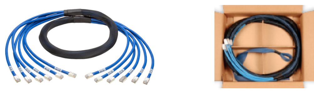 Cat 6a SFTP Plug to Plug Trunk Cables4