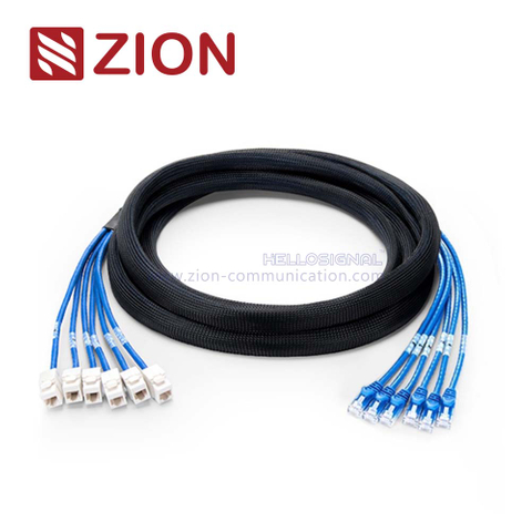 Cat 5e UTP Plug to Jack Trunk Cables