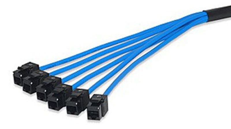 Cat 5e UTP Jack to Jack Trunk Cables2