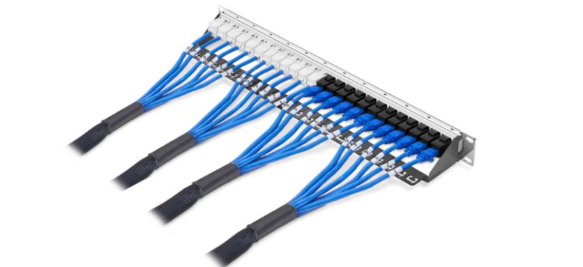 Cat 6a SFTP Plug to Jack Trunk Cables5