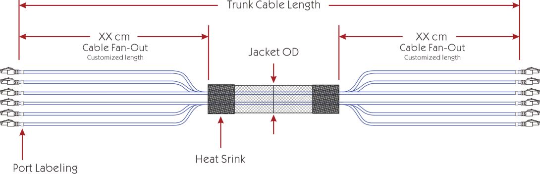 Cat 6 UTP Plug to Plug Trunk Cables1