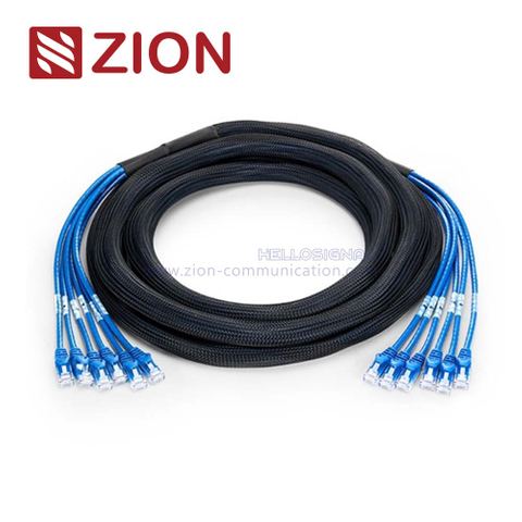 Cat 6 UTP Plug to Plug Trunk Cables