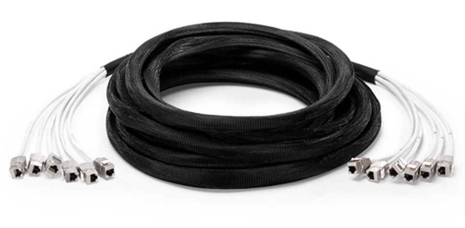 Cat 6a SFTP Jack to Jack Trunk Cables