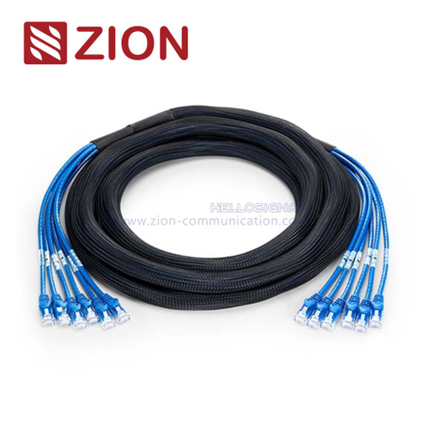 Cat 5e UTP Plug to Plug Trunk Cables