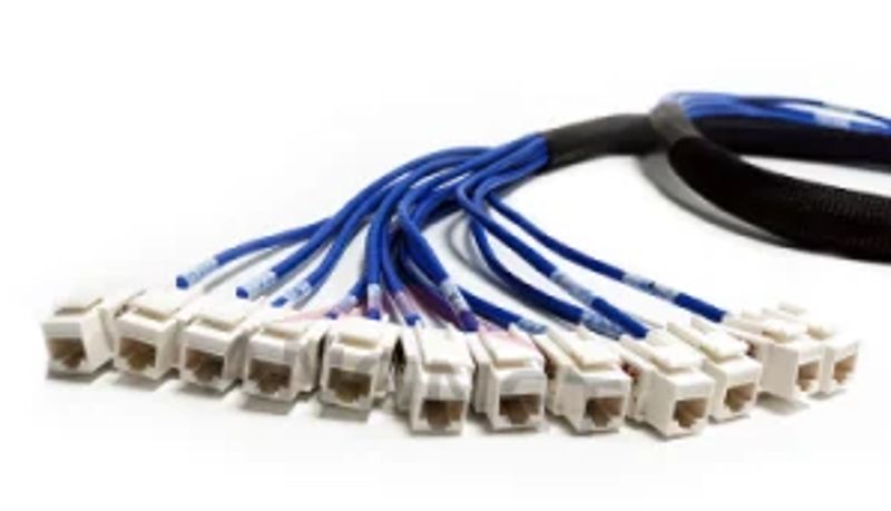 Cat 5e UTP Jack to Jack Trunk Cables3