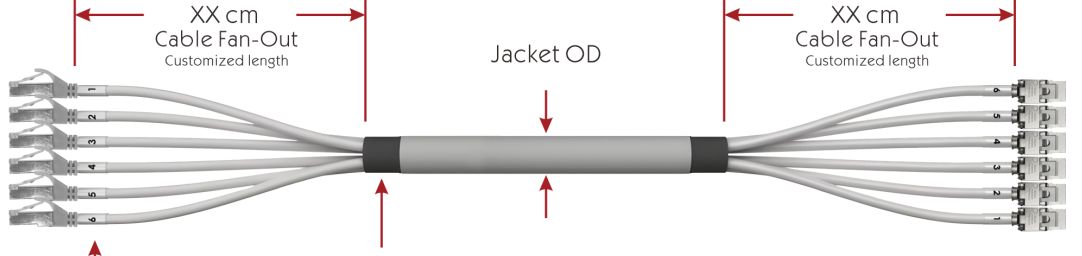 Cat 6a SFTP Plug to Jack Trunk Cables4
