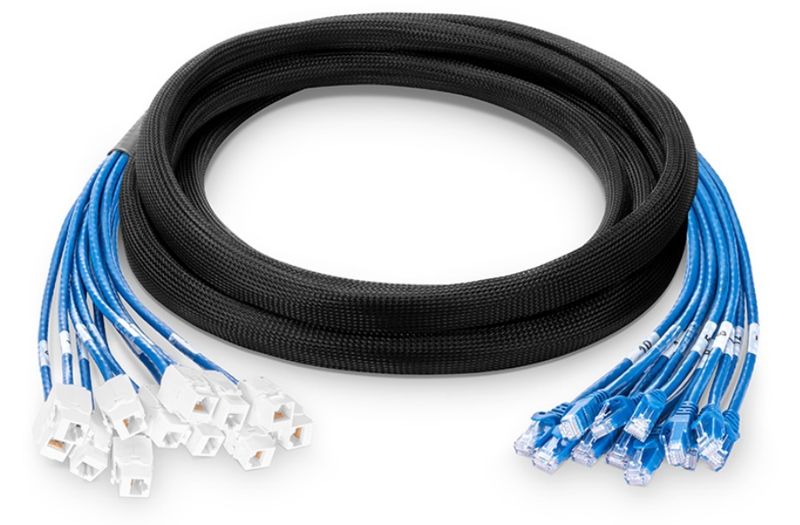 ZION Cat 5e UTP Plug to Jack Trunk Cable1