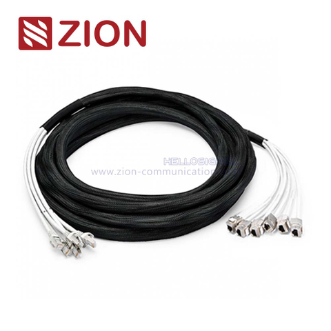 Cat 6a S/FTP Plug to Jack Trunk Cables