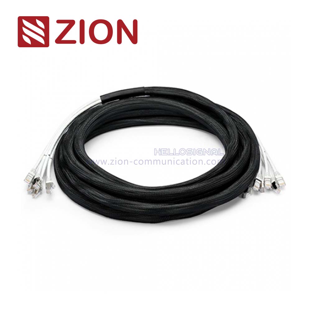 Cat 6a S/FTP Plug to Plug Trunk Cables