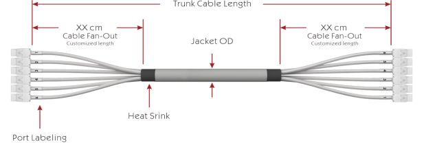 Cat 6 UTP Jack to Jack Trunk Cable3 Cat 6 UTP Jack to Jack Trunk Cable3