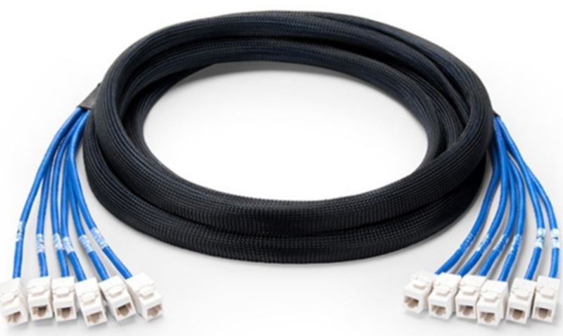 Cat 6 UTP Jack to Jack Trunk Cable