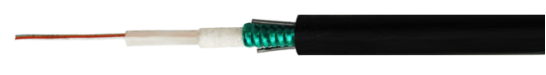 66.png
