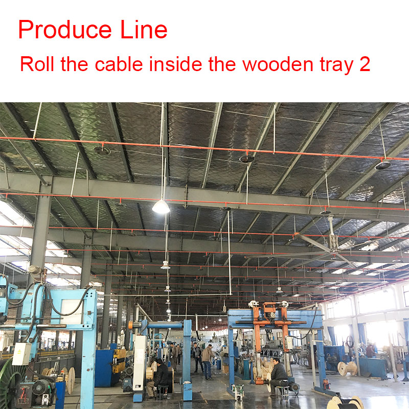 produce department 5