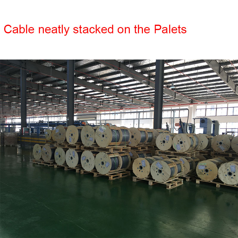 produce department 7