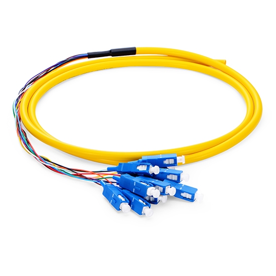 SC UPC 12 Fibers OS2 Single Mode Bunch PVC 0.9mm Fiber Optic Pigtail SC UPC 12 Fibers OS2 Single Mode Bunch PVC 0.9mm Fiber Optic Pigtail