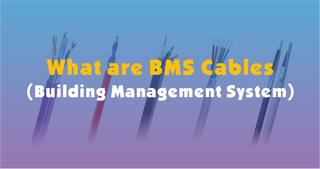 What are BMS Cables.jpg