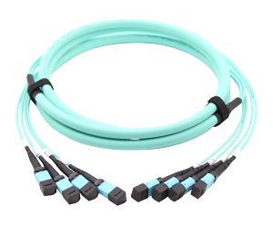 MPO-MTP Trunk Cable