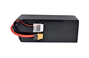 LiPo Battery 