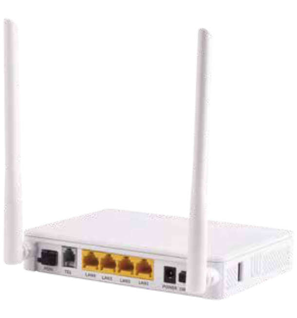 Fiber Network Unit ZC-601GB