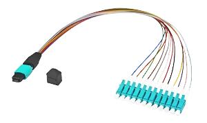 MPOMTP (Male) -LC Fan-out 0.9mm(1)