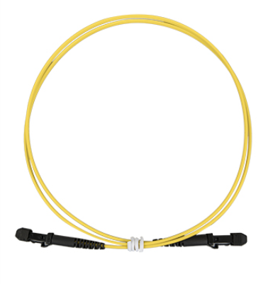 MTRJ Patch Cords