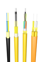 Cabling in Buildings