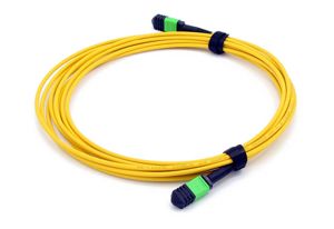 MPO-MTP Patch Cords