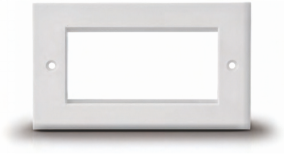 ZFP007B Double gang flat face plate