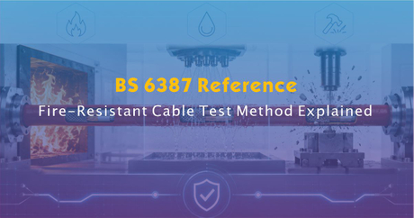 BS 6387 Reference- Fire-Resistant Cable Test Method Explained.jpg