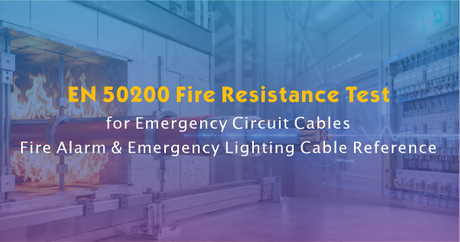 EN 50200 Fire Resistance Test.jpg